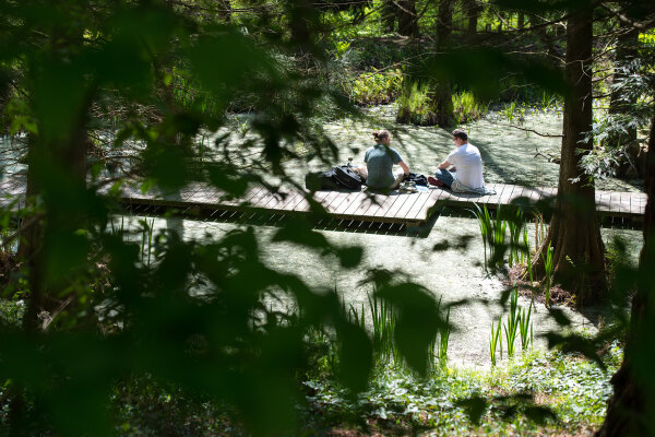 2016 05 06 Tk Botanischer Garten-15